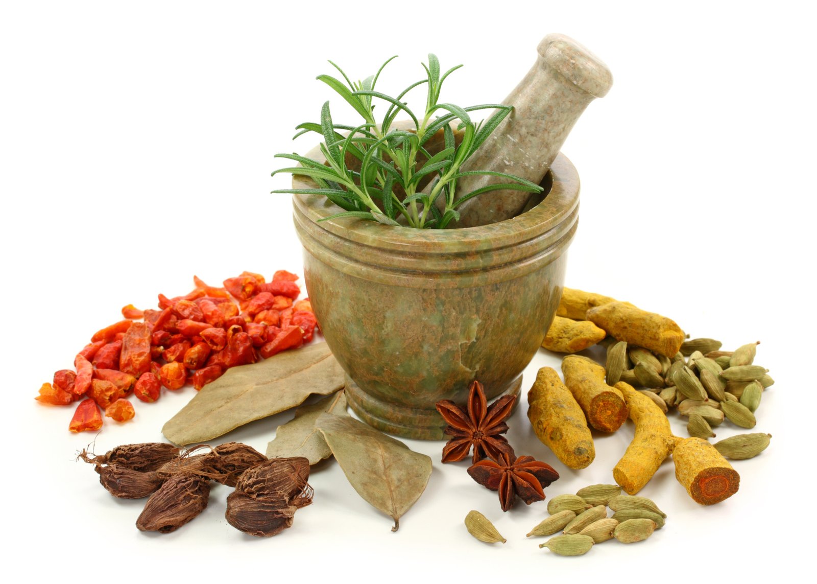 AYURVEDA HERBAL